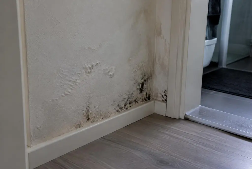 Lekdetectie Veghel – vochtplek met schimmel op een muur
